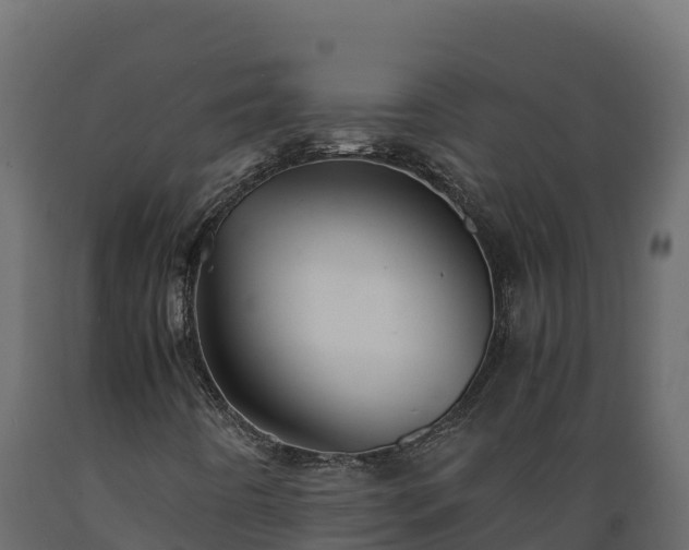 X0000089931442200707061030