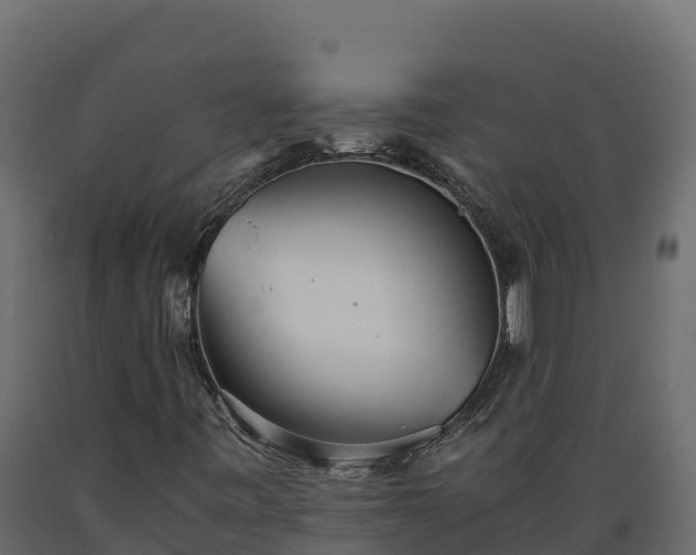 X0000089931443200707061030