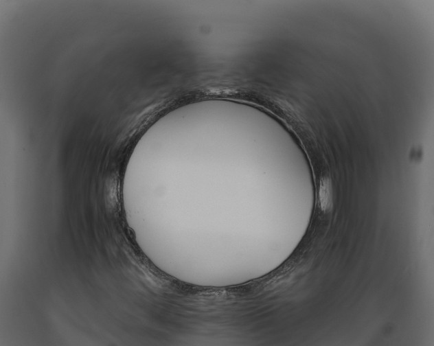 X0000089931444200707061030