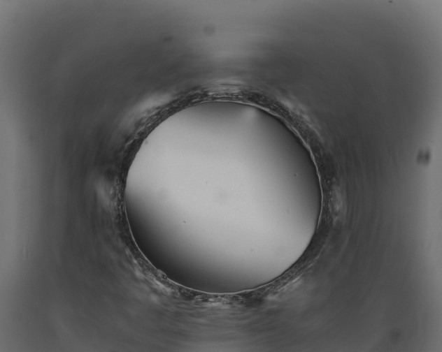 X0000089931445200707061030