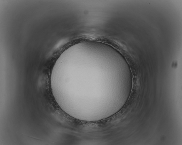 X0000089931446200707061030