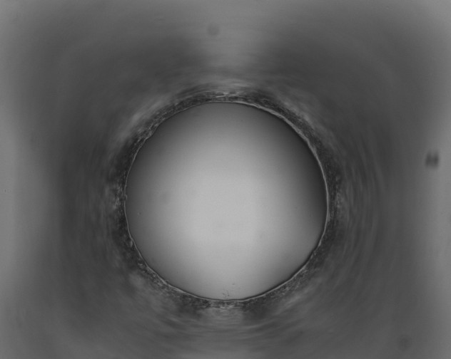 X0000089931447200707061030