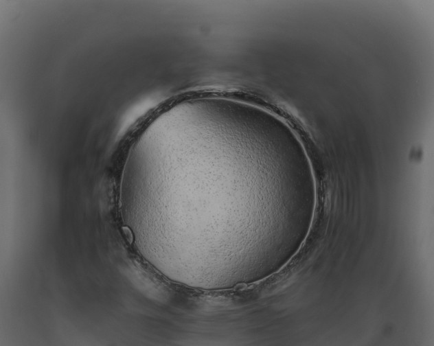 X0000089931448200707061030