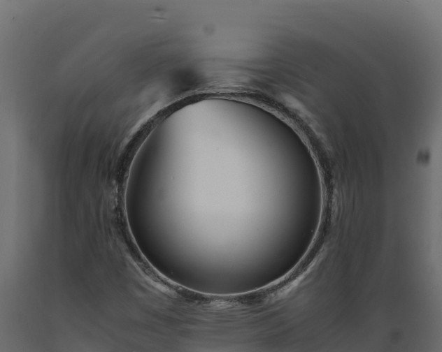 X0000089931449200707061030