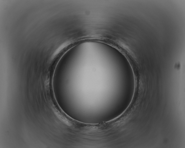 X0000089931450200707061030