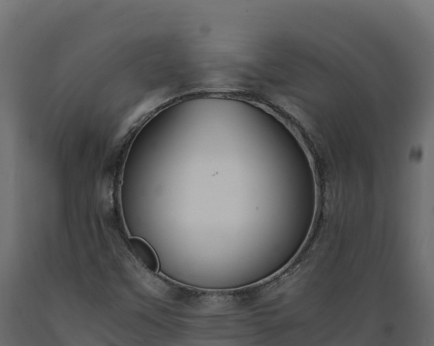 X0000089931451200707061030