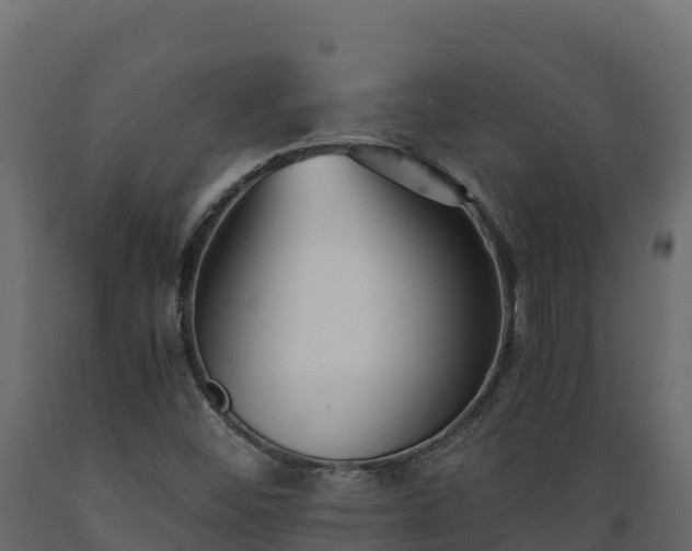 X0000089931452200707061030