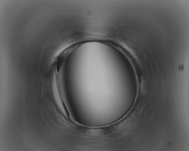 X0000089931453200707061029