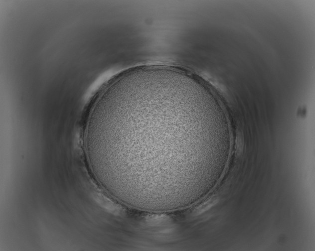 X0000089931454200707061029