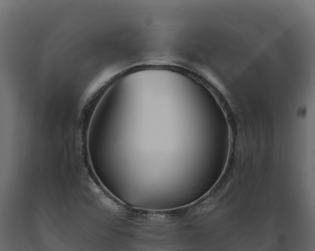 X0000089931456200707061029