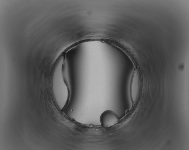 X0000089931457200707061029