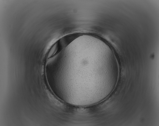 X0000089931459200707061029