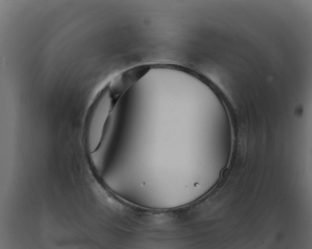 X0000089931460200707061029