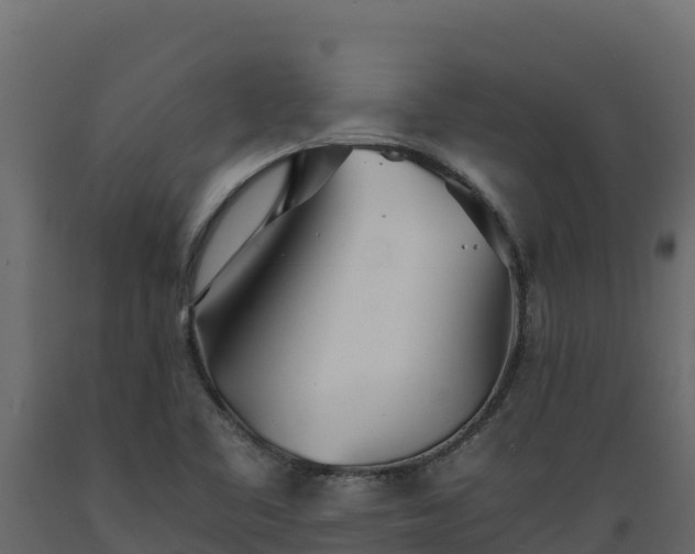 X0000089931461200707061029