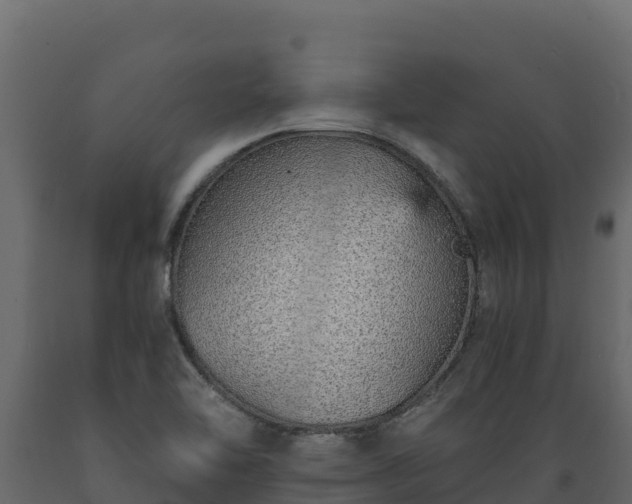 X0000089931462200707061029