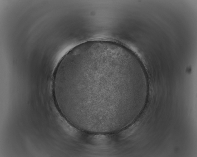 X0000089931463200707061029