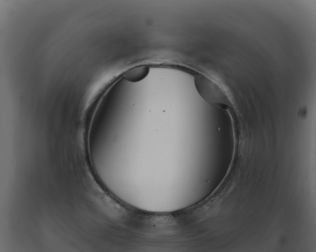 X0000089931464200707061029