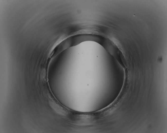 X0000089931465200707061029