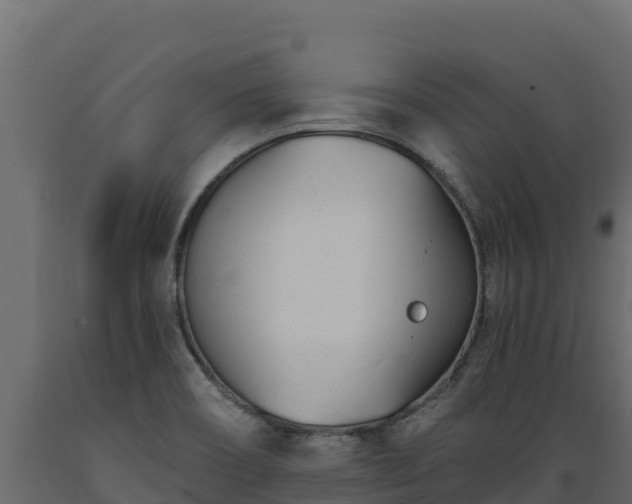 X0000089931466200707061029