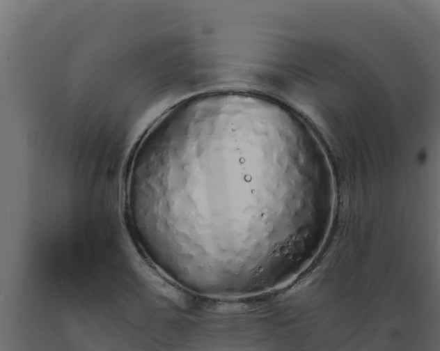 X0000089931467200707061029