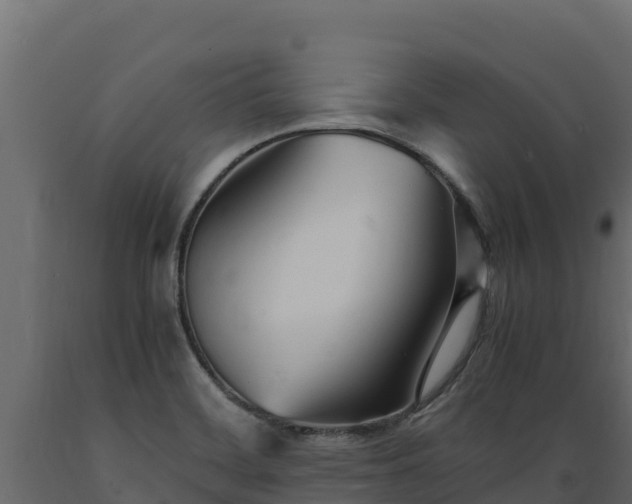 X0000089931468200707061029