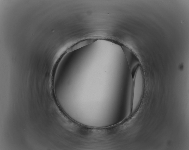 X0000089931469200707061029