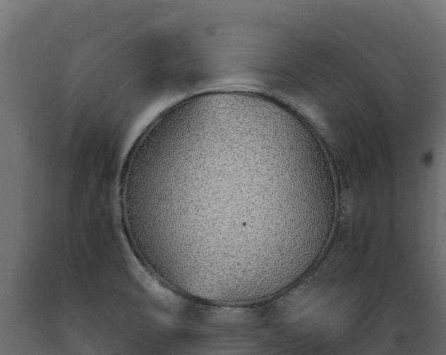 X0000089931470200707061029