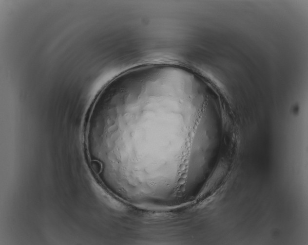 X0000089931471200707061029