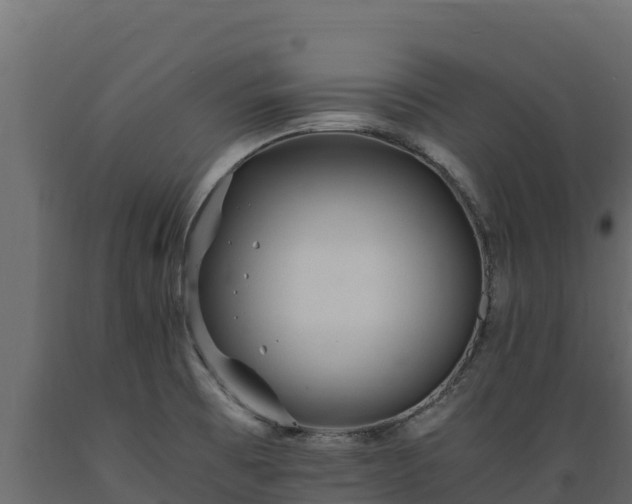 X0000089931473200707061029