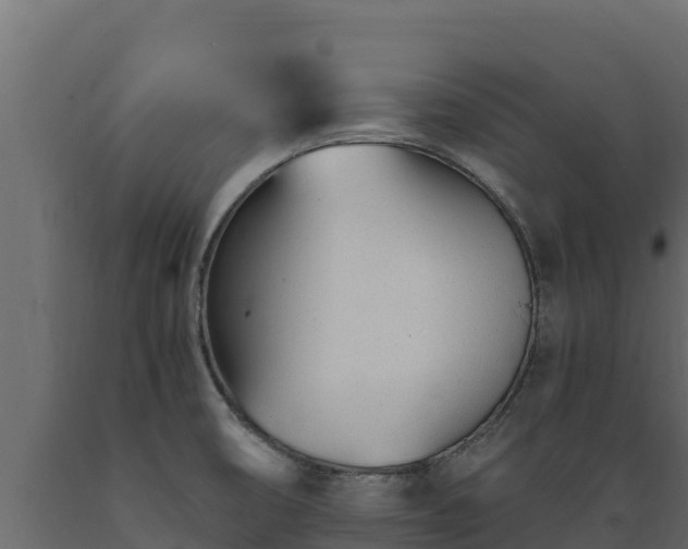 X0000089931474200707061029