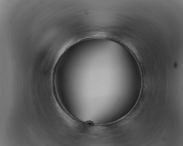 X0000089931475200707061029