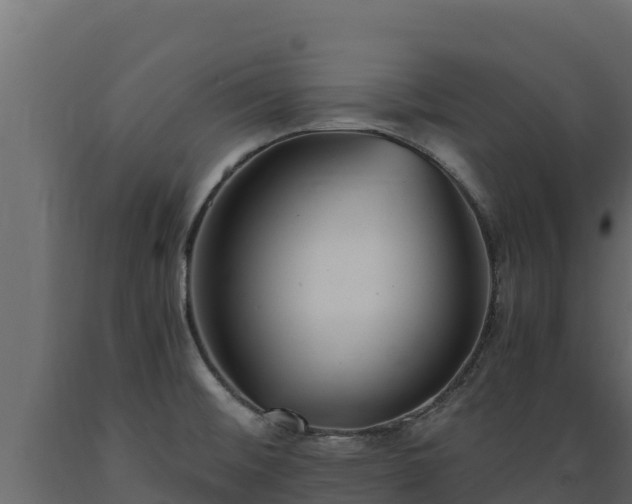 X0000089931476200707061029