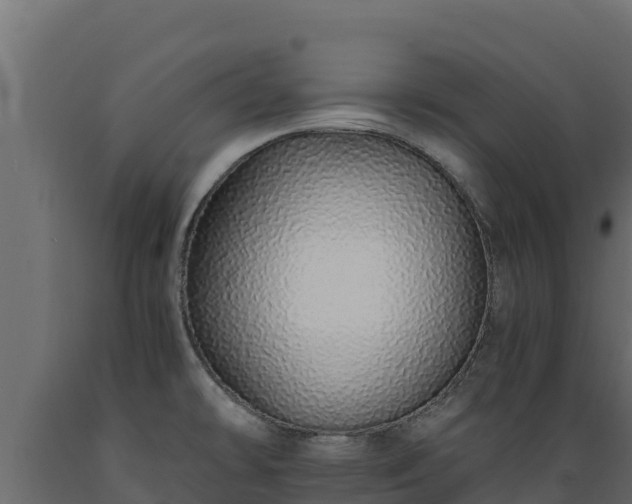 X0000089931478200707061029