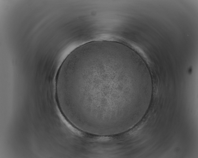 X0000089931479200707061029