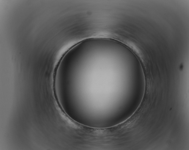 X0000089931480200707061029