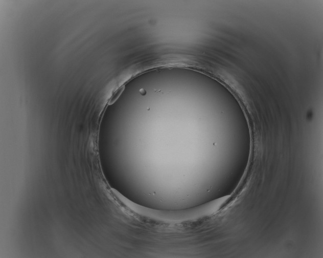 X0000089931481200707061029