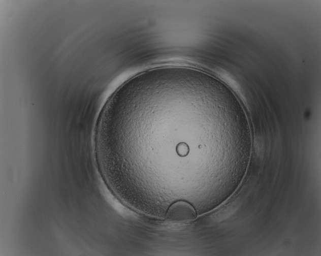 X0000089931482200707061029