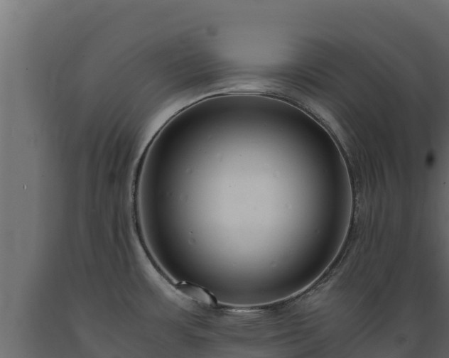 X0000089931483200707061029