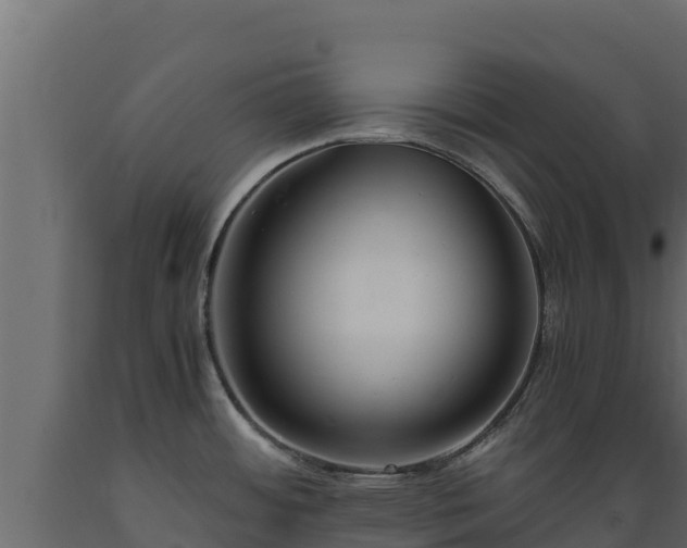 X0000089931484200707061029