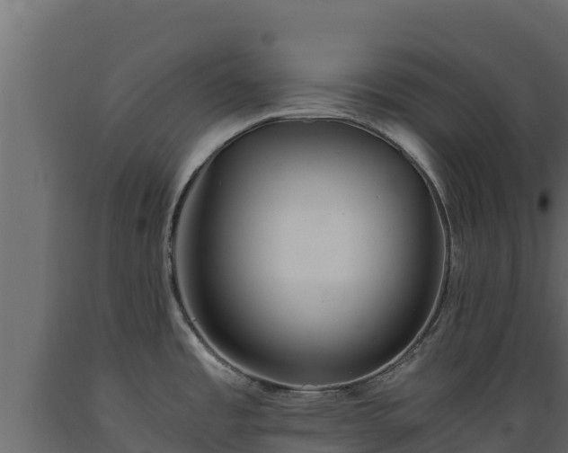 X0000089931485200707061029