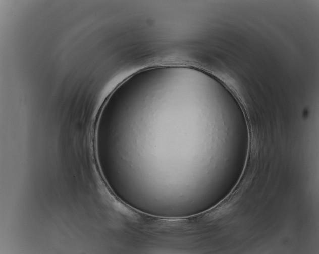 X0000089931486200707061029