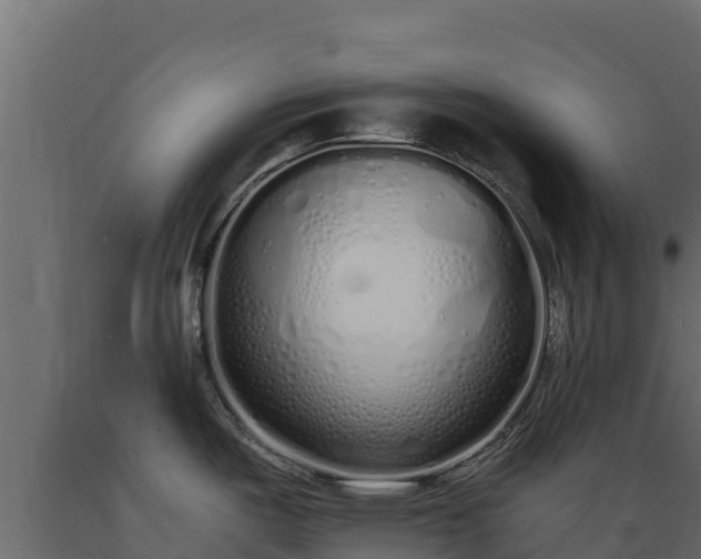 X0000089931487200707061029