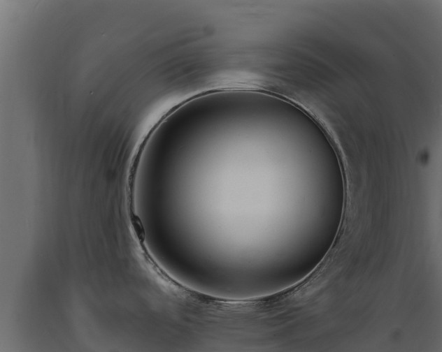 X0000089931488200707061029