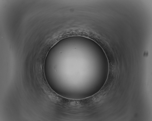 X0000089931489200707061028