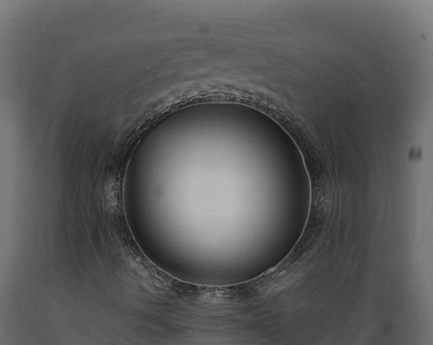 X0000089931490200707061028