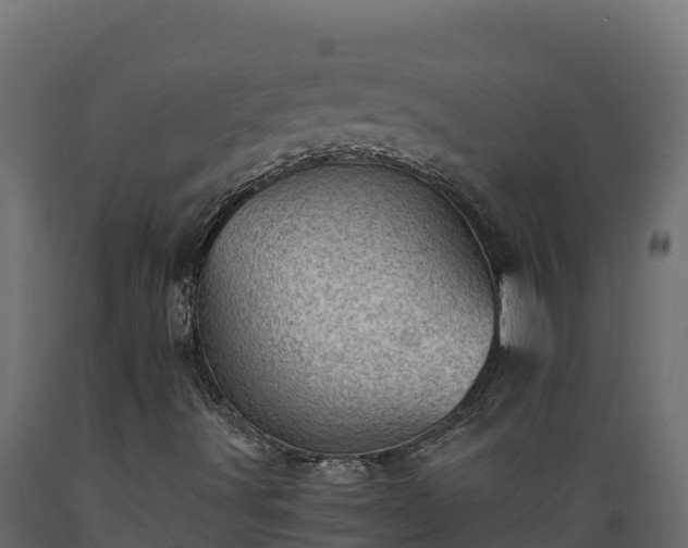 X0000089931491200707061028