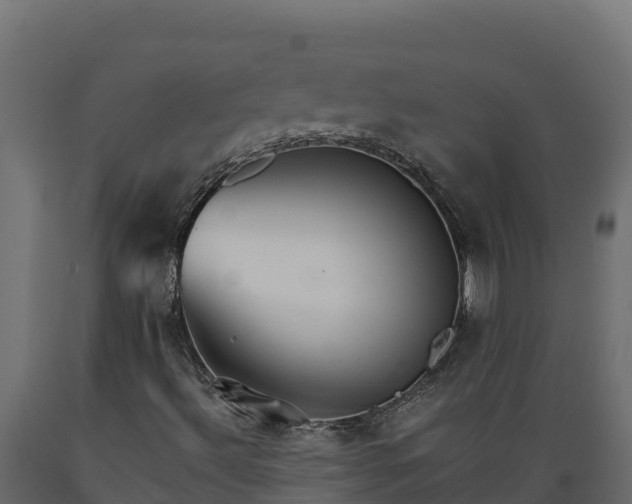 X0000089931492200707061028