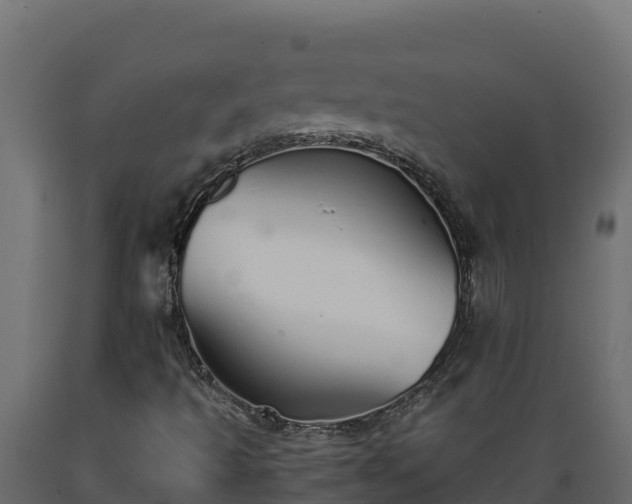 X0000089931493200707061029