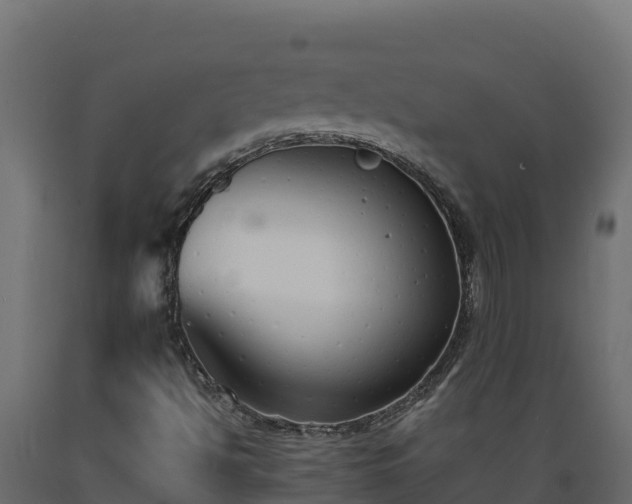 X0000089931494200707061029