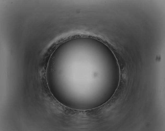 X0000089931495200707061029